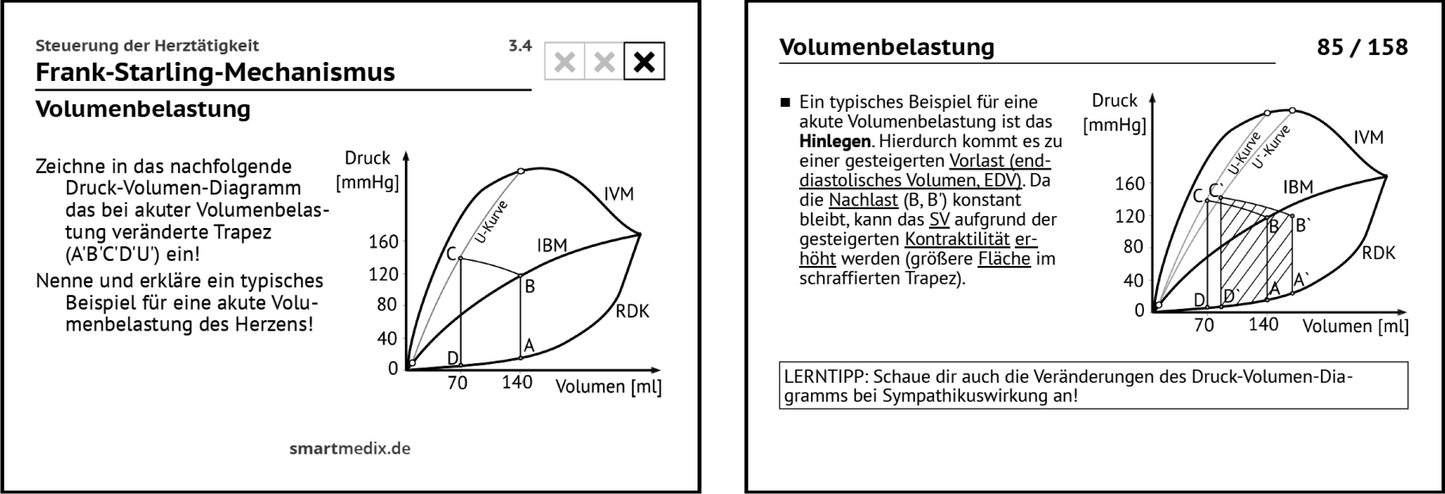 Physiologie Box 1