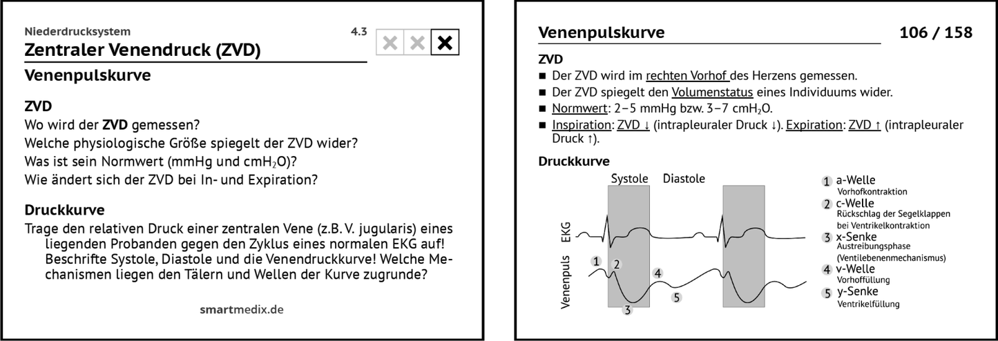 Physiologie Box 1