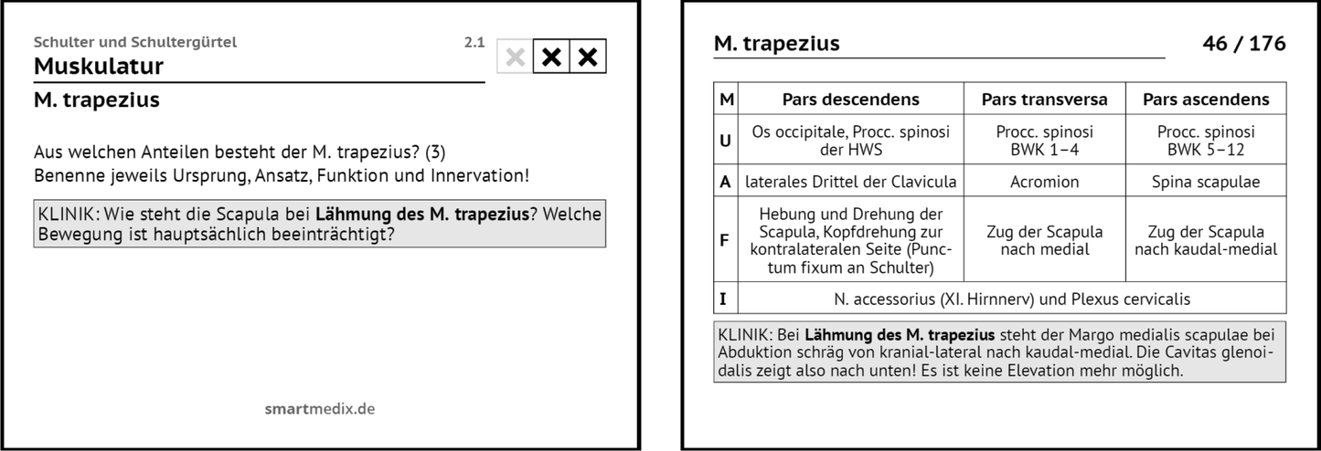 Anatomie Box 1