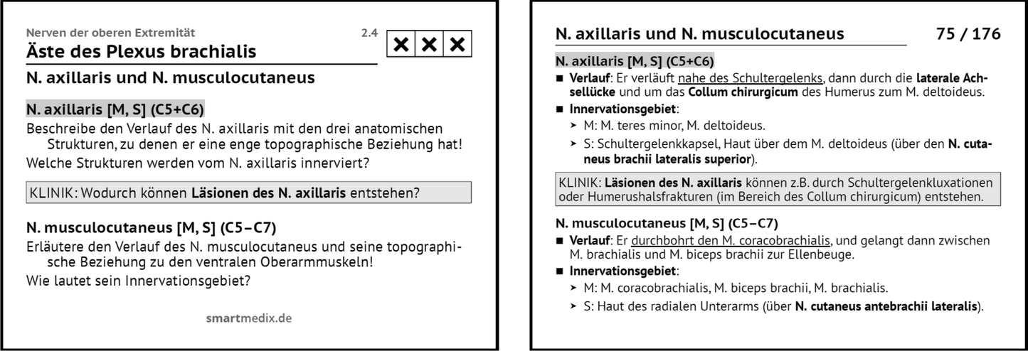 Anatomie Box 1