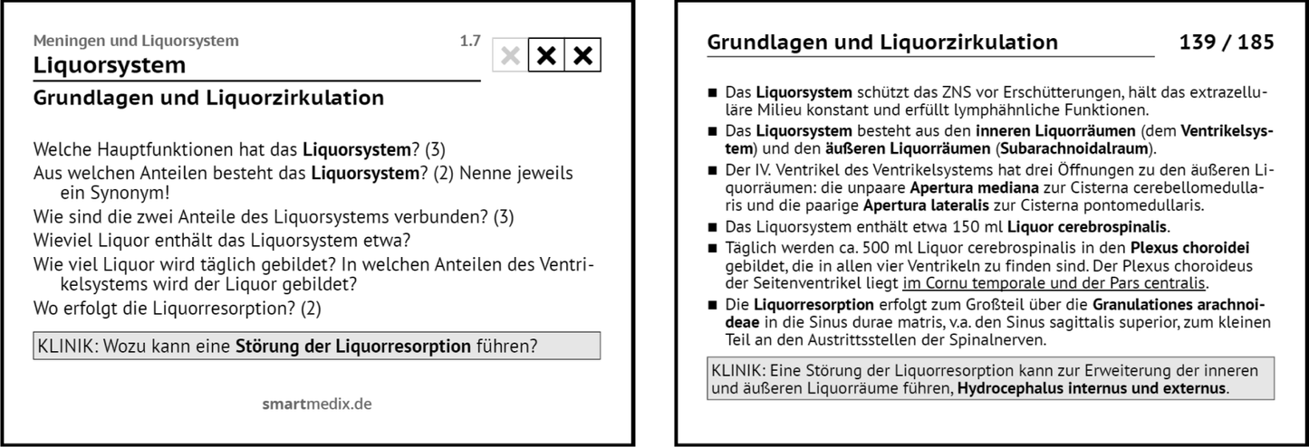 Anatomie Box 3
