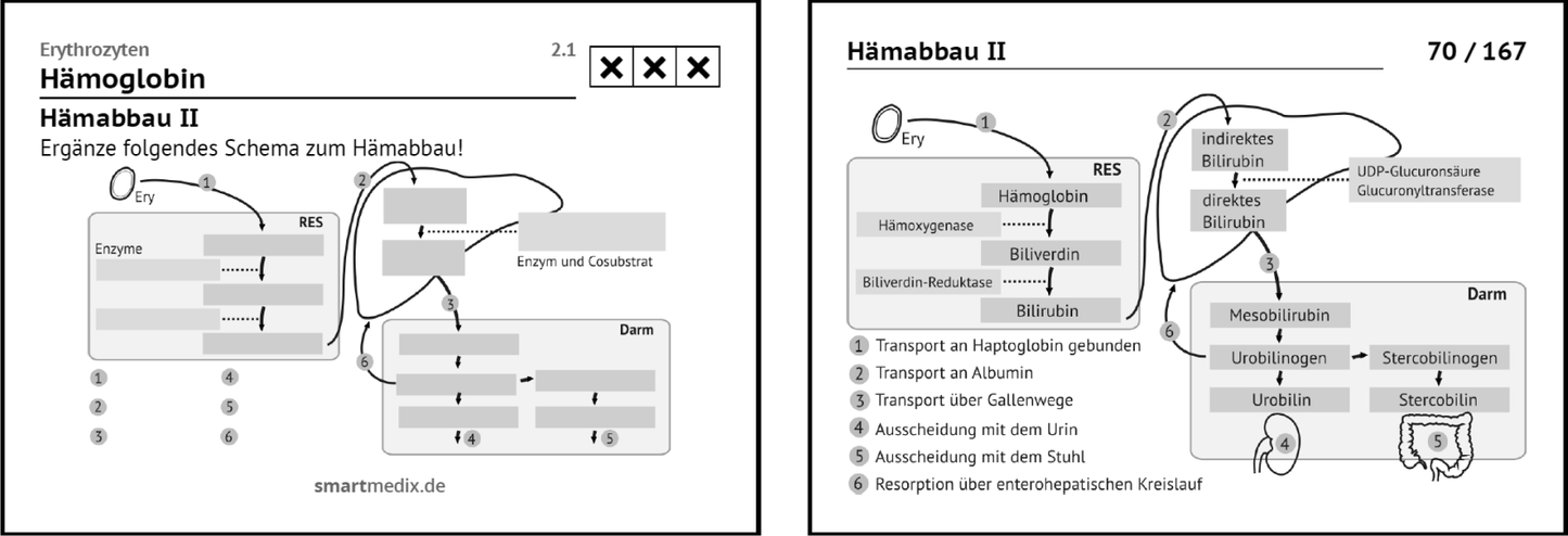 Biochemie Box 3