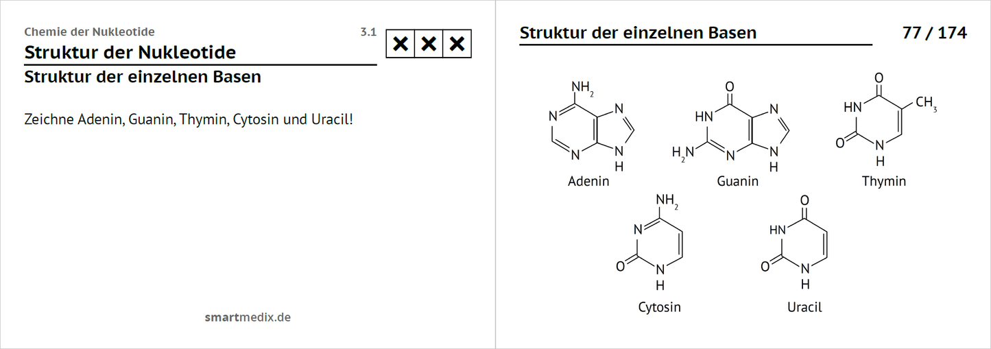 Biochemie Box 2