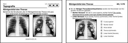 Anatomie Box 2