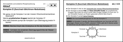 Biochemie Box 1