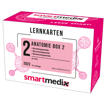 Produktbild der SmartMedix Lernkarten Anatomie Box 2, 10. Auflage 2023. Die Verpackung zeigt eine medizinische Illustration. Auf der Verpackung stehen die enthaltenen Themen: Brusteingeweide, Baucheingeweide, Beckeneingeweide.