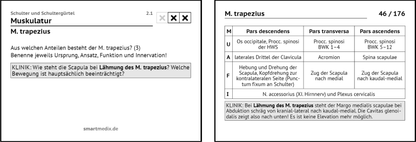Anatomie Box 1