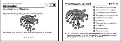 Anatomie Box 3