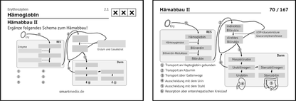 Biochemie Box 3