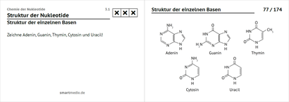 Biochemie Box 2